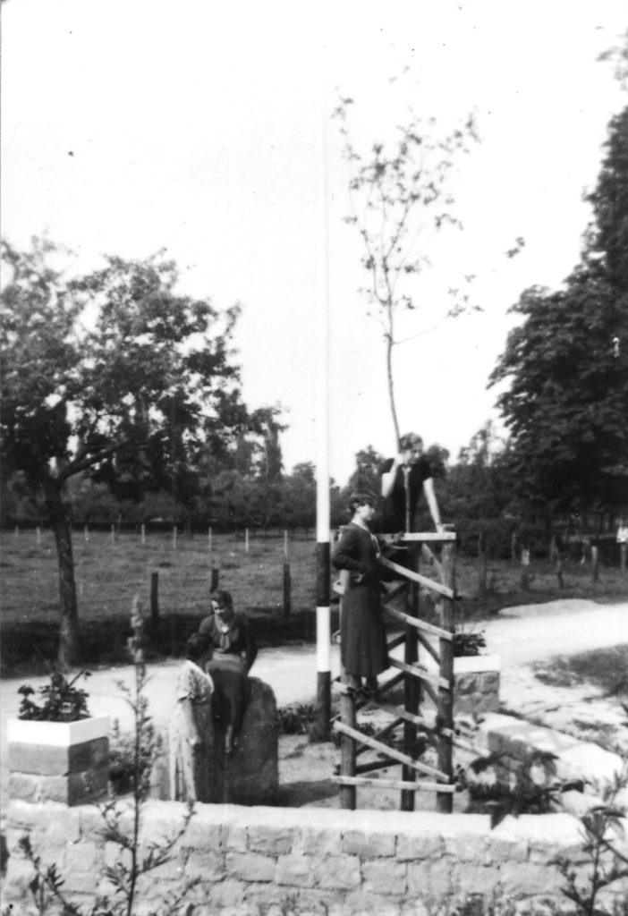 Die junge Hitler-Eiche in einer kleinen Anlage mit Einfassungsmauer, Findling und Fahnenstange.